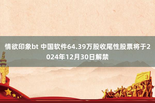 情欲印象bt 中国软件64.39万股收尾性股票将于2024年12月30日解禁