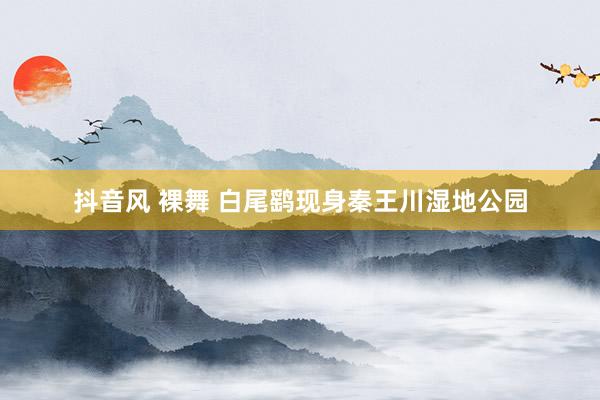 抖音风 裸舞 白尾鹞现身秦王川湿地公园