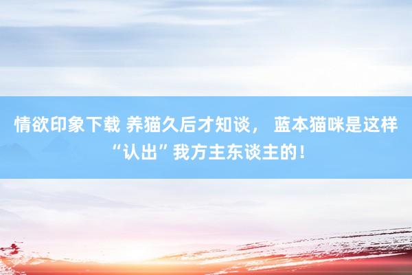 情欲印象下载 养猫久后才知谈， 蓝本猫咪是这样“认出”我方主东谈主的！