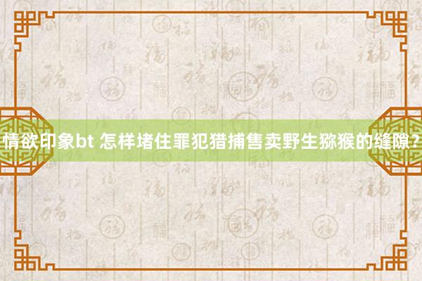 情欲印象bt 怎样堵住罪犯猎捕售卖野生猕猴的缝隙？