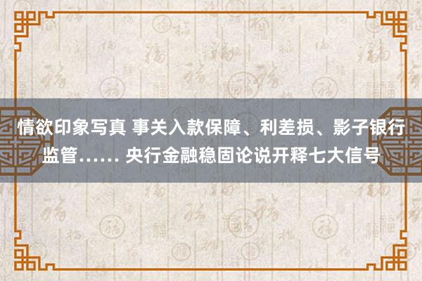 情欲印象写真 事关入款保障、利差损、影子银行监管…… 央行金融稳固论说开释七大信号