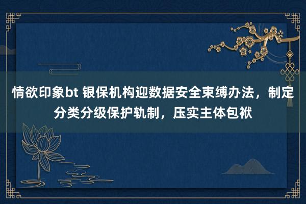 情欲印象bt 银保机构迎数据安全束缚办法，制定分类分级保护轨制，压实主体包袱