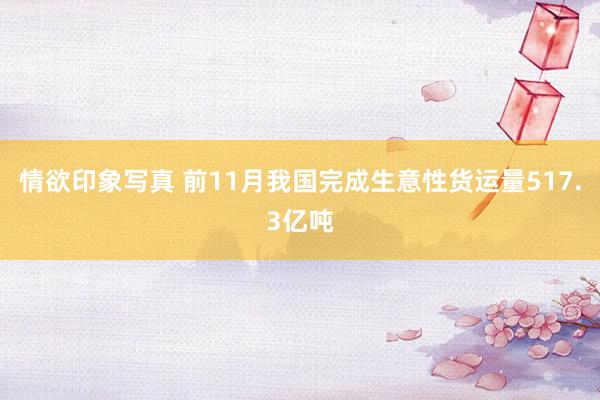 情欲印象写真 前11月我国完成生意性货运量517.3亿吨