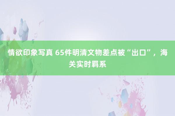 情欲印象写真 65件明清文物差点被“出口”，海关实时羁系