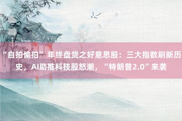 “自拍偷拍” 年终盘货之好意思股：三大指数刷新历史，AI助推科技股怒潮，“特朗普2.0”来袭