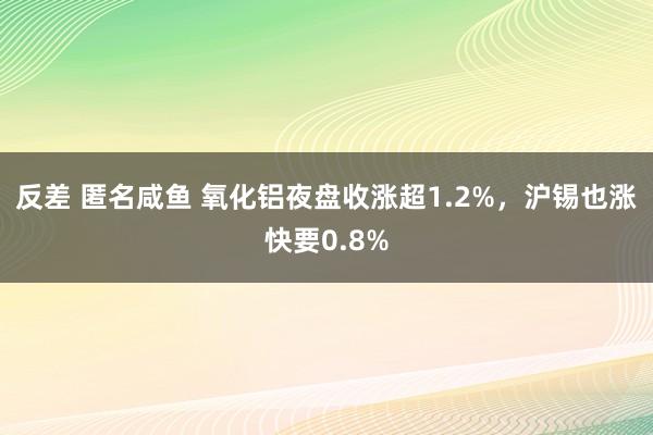 反差 匿名咸鱼 氧化铝夜盘收涨超1.2%，沪锡也涨快要0.8%