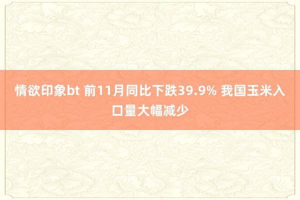 情欲印象bt 前11月同比下跌39.9% 我国玉米入口量大幅减少