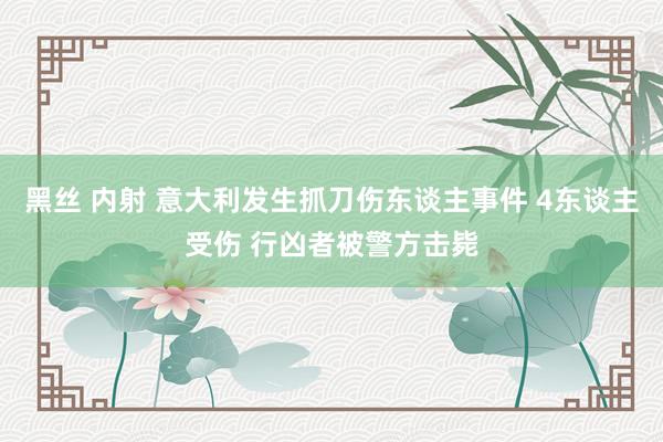 黑丝 内射 意大利发生抓刀伤东谈主事件 4东谈主受伤 行凶者被警方击毙