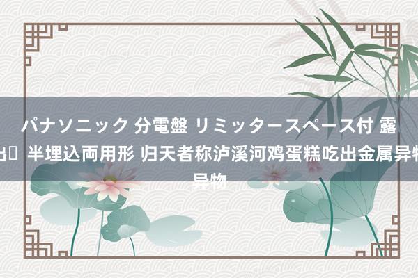 パナソニック 分電盤 リミッタースペース付 露出・半埋込両用形 归天者称泸溪河鸡蛋糕吃出金属异物