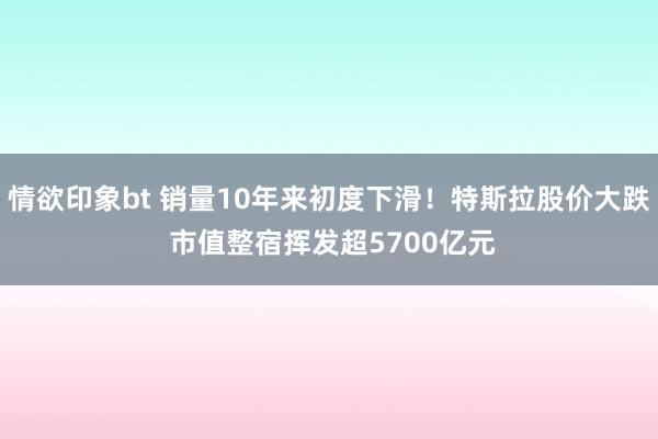 情欲印象bt 销量10年来初度下滑！特斯拉股价大跌 市值整宿挥发超5700亿元