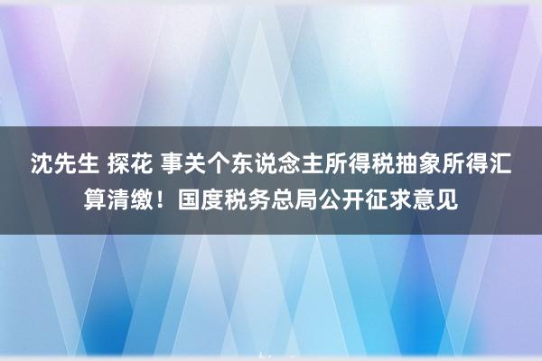 沈先生 探花 事关个东说念主所得税抽象所得汇算清缴！国度税务总局公开征求意见