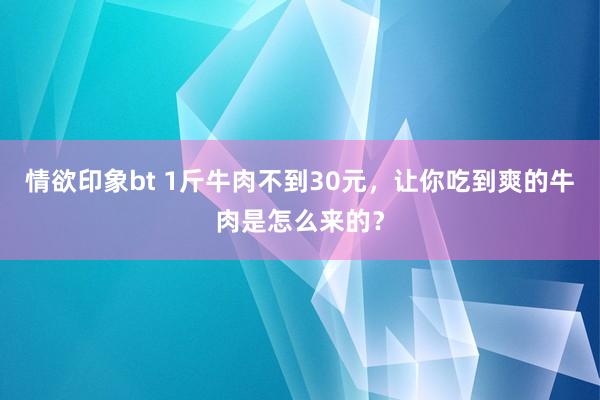 情欲印象bt 1斤牛肉不到30元，让你吃到爽的牛肉是怎么来的？
