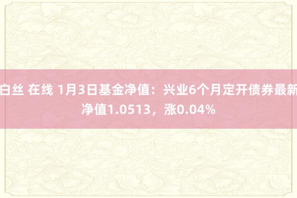 白丝 在线 1月3日基金净值：兴业6个月定开债券最新净值1.0513，涨0.04%
