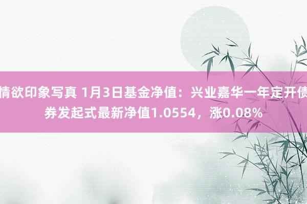 情欲印象写真 1月3日基金净值：兴业嘉华一年定开债券发起式最新净值1.0554，涨0.08%