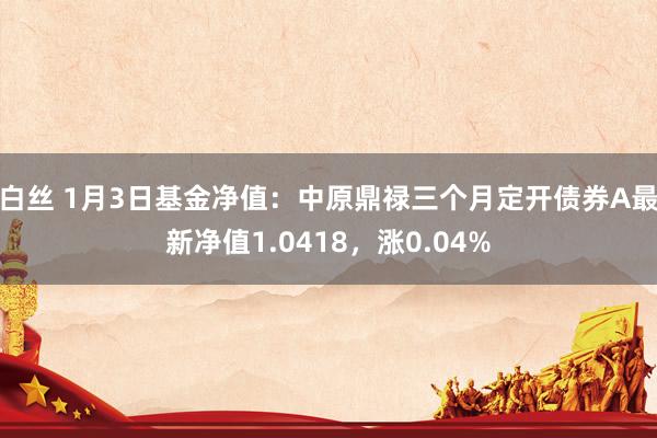 白丝 1月3日基金净值：中原鼎禄三个月定开债券A最新净值1.0418，涨0.04%
