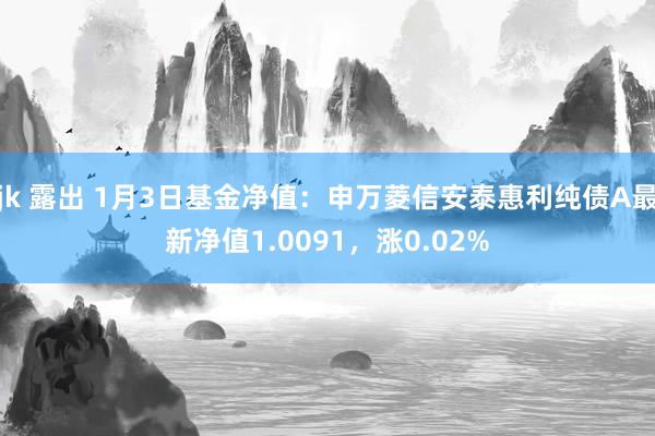 jk 露出 1月3日基金净值：申万菱信安泰惠利纯债A最新净值1.0091，涨0.02%