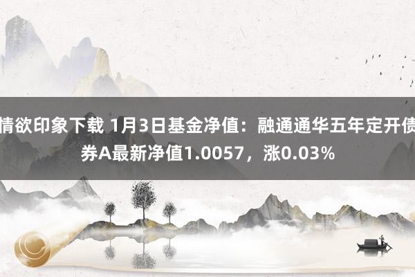 情欲印象下载 1月3日基金净值：融通通华五年定开债券A最新净值1.0057，涨0.03%