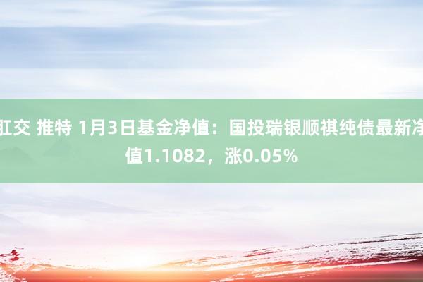 肛交 推特 1月3日基金净值：国投瑞银顺祺纯债最新净值1.1082，涨0.05%