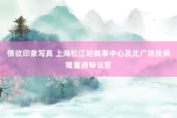 情欲印象写真 上海松江站做事中心及北广场技俩隆重通畅运营
