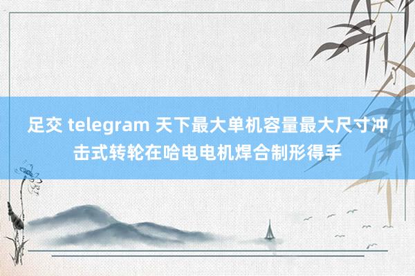 足交 telegram 天下最大单机容量最大尺寸冲击式转轮在哈电电机焊合制形得手