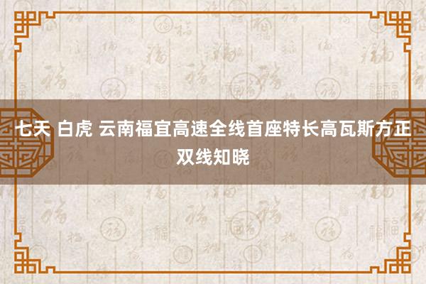 七天 白虎 云南福宜高速全线首座特长高瓦斯方正双线知晓