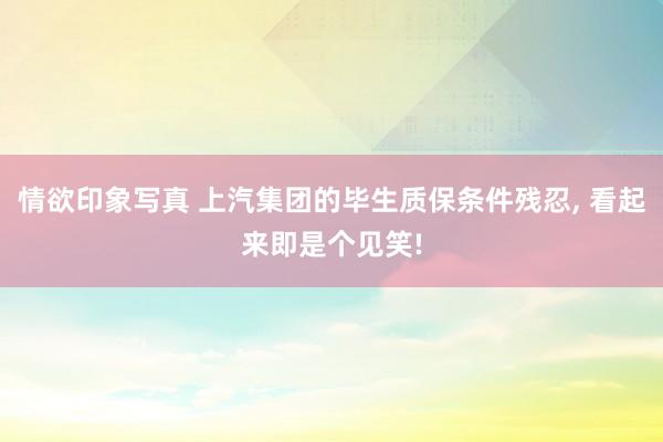 情欲印象写真 上汽集团的毕生质保条件残忍， 看起来即是个见笑!