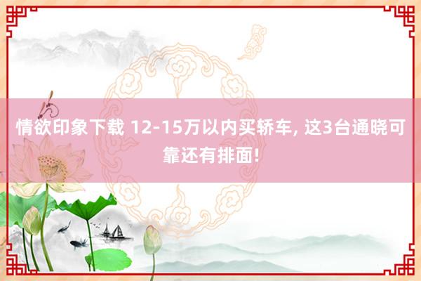 情欲印象下载 12-15万以内买轿车， 这3台通晓可靠还有排面!