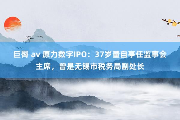巨臀 av 原力数字IPO：37岁董自亭任监事会主席，曾是无锡市税务局副处长