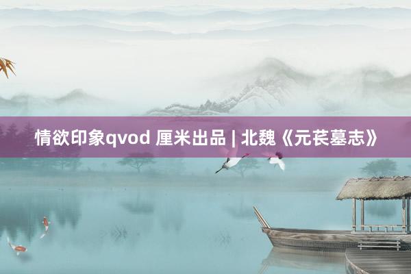 情欲印象qvod 厘米出品 | 北魏《元苌墓志》