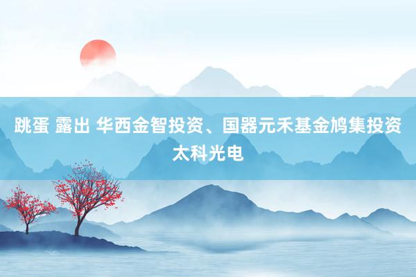 跳蛋 露出 华西金智投资、国器元禾基金鸠集投资太科光电