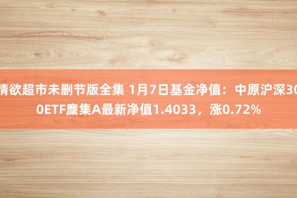 情欲超市未删节版全集 1月7日基金净值：中原沪深300ETF麇集A最新净值1.4033，涨0.72%