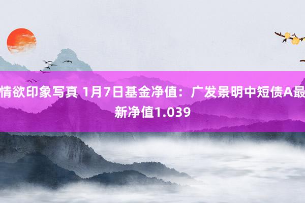 情欲印象写真 1月7日基金净值：广发景明中短债A最新净值1.039