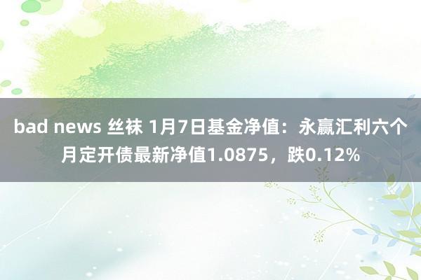 bad news 丝袜 1月7日基金净值：永赢汇利六个月定开债最新净值1.0875，跌0.12%