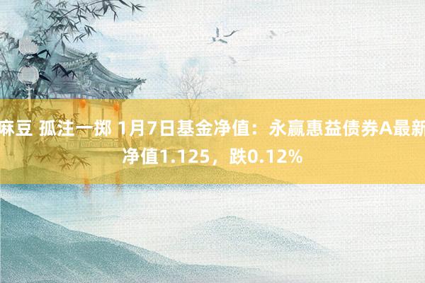 麻豆 孤注一掷 1月7日基金净值：永赢惠益债券A最新净值1.125，跌0.12%