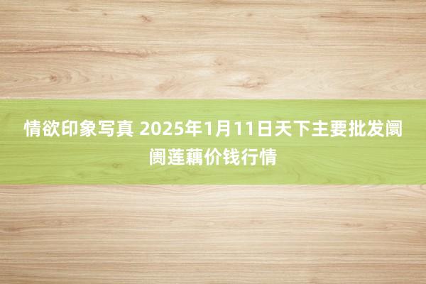 情欲印象写真 2025年1月11日天下主要批发阛阓莲藕价钱行情