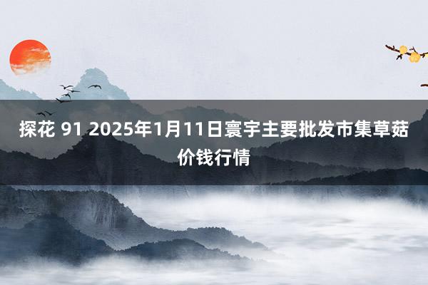 探花 91 2025年1月11日寰宇主要批发市集草菇价钱行情