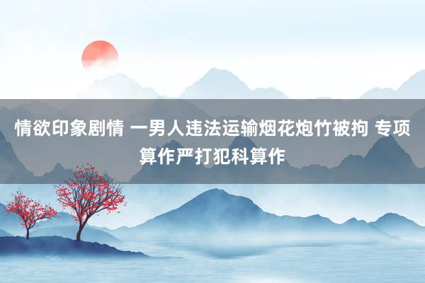 情欲印象剧情 一男人违法运输烟花炮竹被拘 专项算作严打犯科算作
