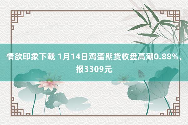情欲印象下载 1月14日鸡蛋期货收盘高潮0.88%，报3309元