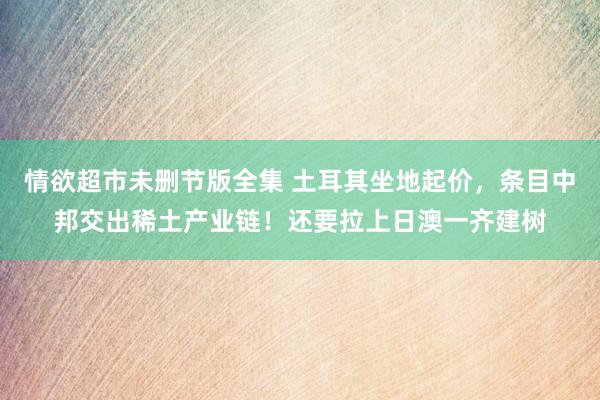 情欲超市未删节版全集 土耳其坐地起价，条目中邦交出稀土产业链！还要拉上日澳一齐建树