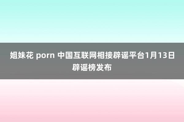 姐妹花 porn 中国互联网相接辟谣平台1月13日辟谣榜发布