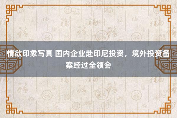 情欲印象写真 国内企业赴印尼投资，境外投资备案经过全领会