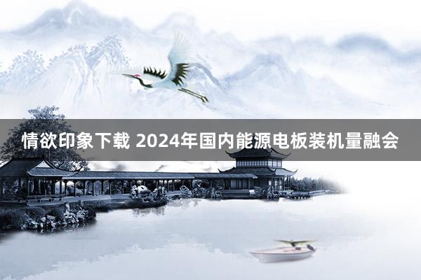 情欲印象下载 2024年国内能源电板装机量融会
