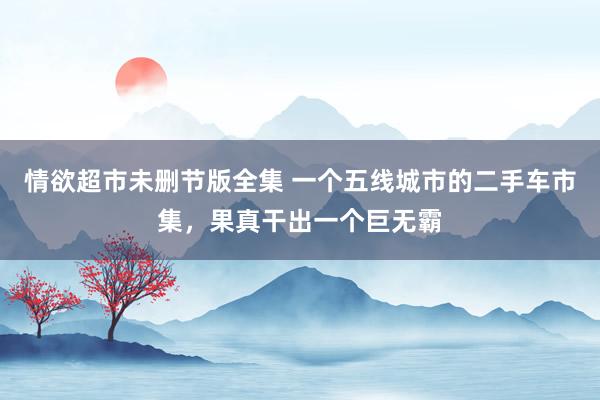情欲超市未删节版全集 一个五线城市的二手车市集，果真干出一个巨无霸