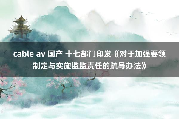 cable av 国产 十七部门印发《对于加强要领制定与实施监监责任的疏导办法》