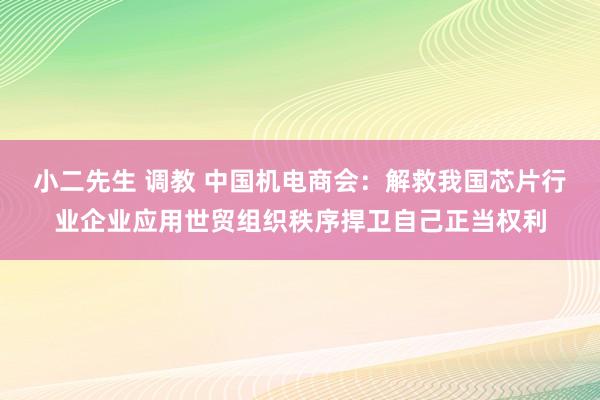小二先生 调教 中国机电商会：解救我国芯片行业企业应用世贸组织秩序捍卫自己正当权利