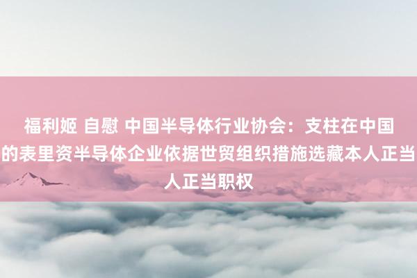 福利姬 自慰 中国半导体行业协会：支柱在中国发展的表里资半导体企业依据世贸组织措施选藏本人正当职权