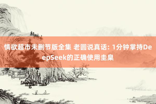 情欲超市未删节版全集 老圆说真话: 1分钟掌持DeepSeek的正确使用圭臬