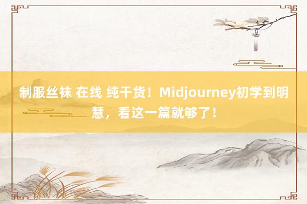 制服丝袜 在线 纯干货！Midjourney初学到明慧，看这一篇就够了！