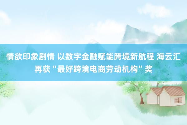情欲印象剧情 以数字金融赋能跨境新航程 海云汇再获“最好跨境电商劳动机构”奖