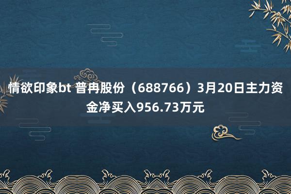 情欲印象bt 普冉股份（688766）3月20日主力资金净买入956.73万元